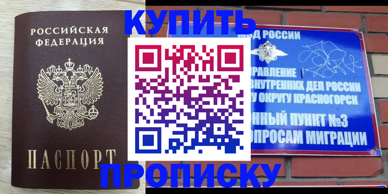 прописка гарантия в Белореченске